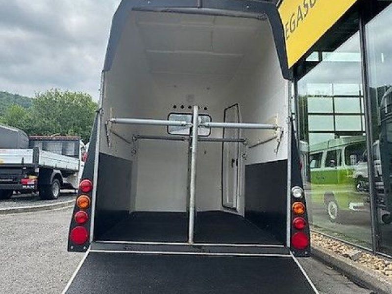 Thiel PLORER 2 Pferdeanhänger 2,4t Vollpoly