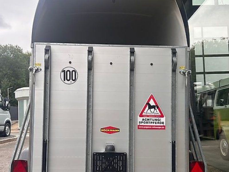 Böckmann Champion Esprit silver black Pferde 2,0t