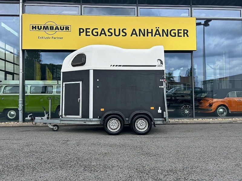 Cheval Liberte Gold First 2 Pferde Aluboden