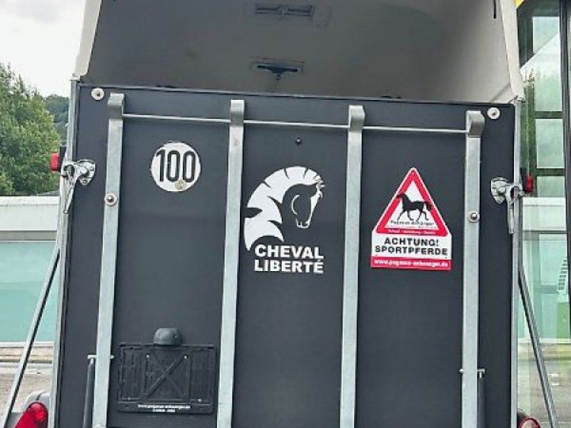 Cheval Liberte Gold First 2 Pferde Aluboden