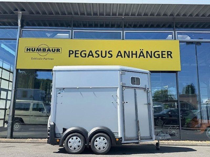 Ifor Williams HB 506 2 Pferde Aluboden FRONTAUSSTIEG