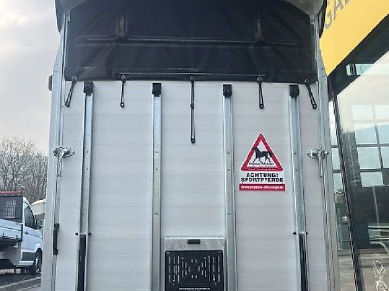 Humbaur Areion Shape 2,4t 2-Pferde NEU