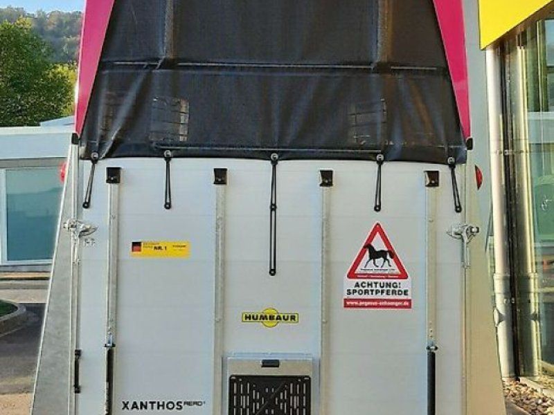 Humbaur Xanthos Aero PINK 2,4to NEU ALU Dreh-/Schwenktür