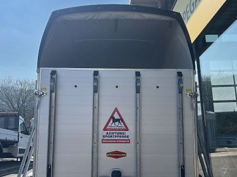 Böckmann Champion Esprit silver black Pferde 2,4t