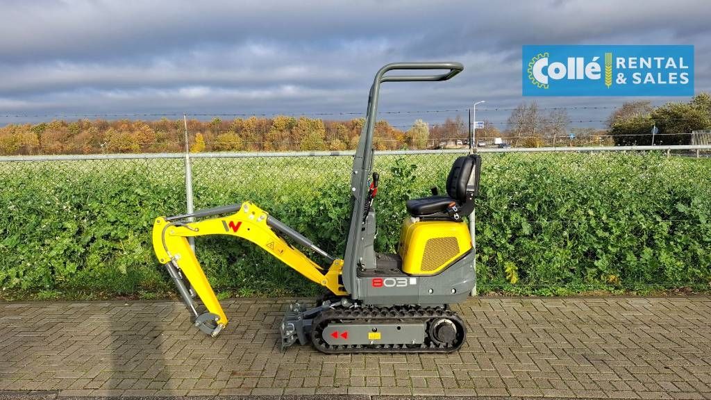 Wacker Neuson 803 | 2025