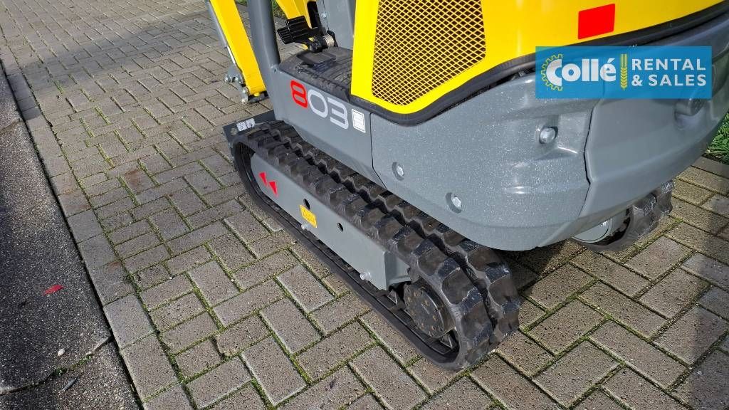 Wacker Neuson 803 | 2025