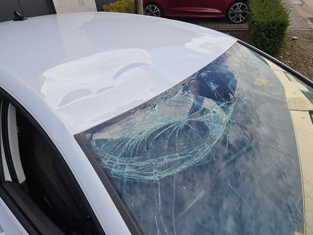 Volkswagen Golf 8 eTSI Benzin 2023