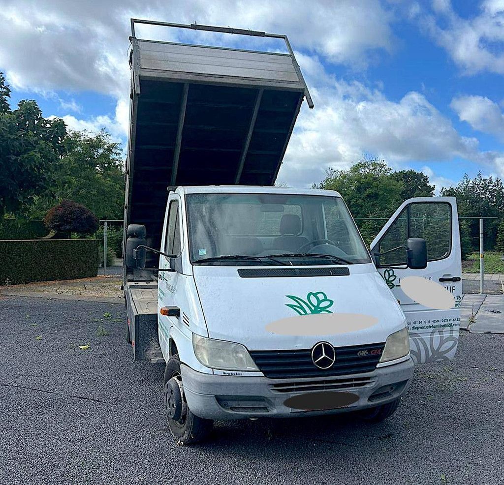 Kipper Mercedes-Benz Sprinter CDI Diesel 2002 (Margin)