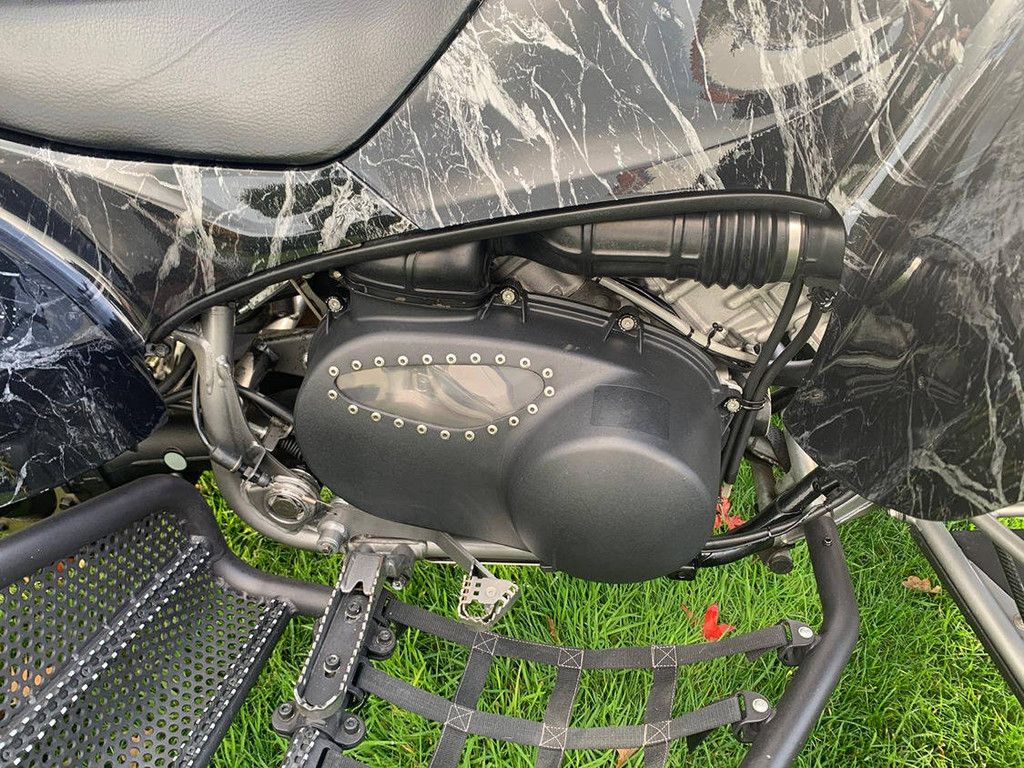 Quad Kawasaki KFX 700 (Marge)