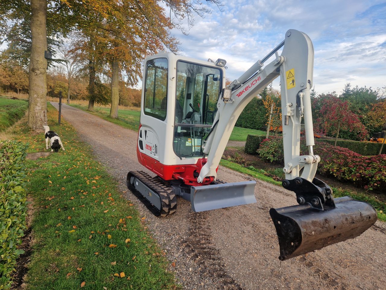 Minigraver takeuchi tb 216