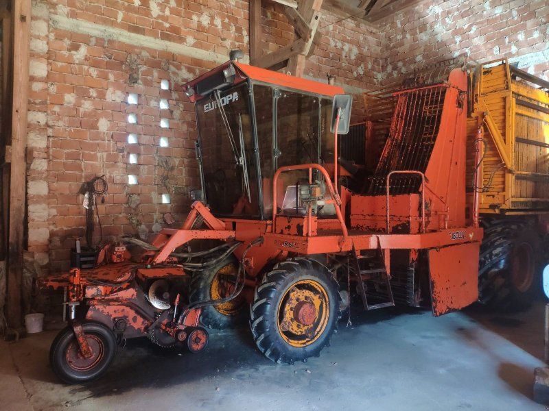 Barigelli Europa 4 RM-L