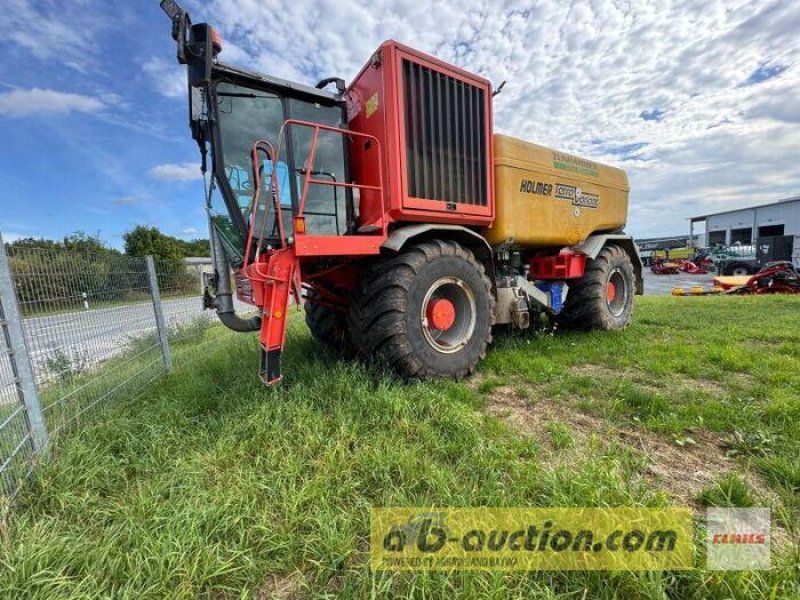 HOLMER TERRA VARIANT