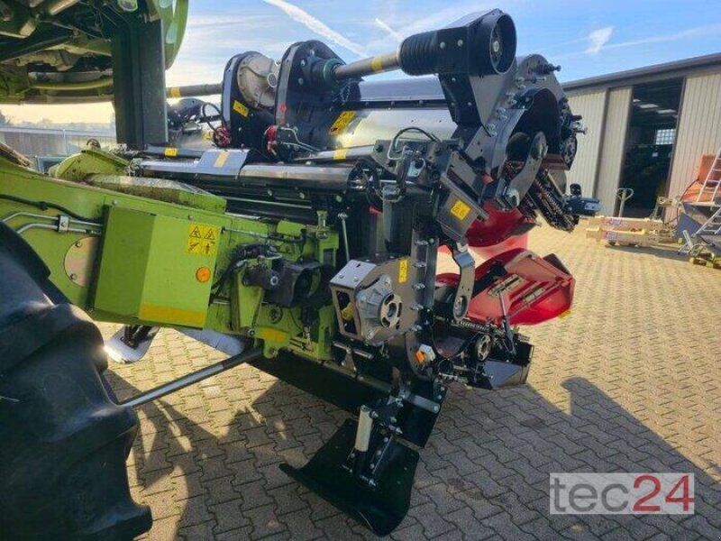 Geringhoff Mais Star Horizon ( MSH ) 800 FB