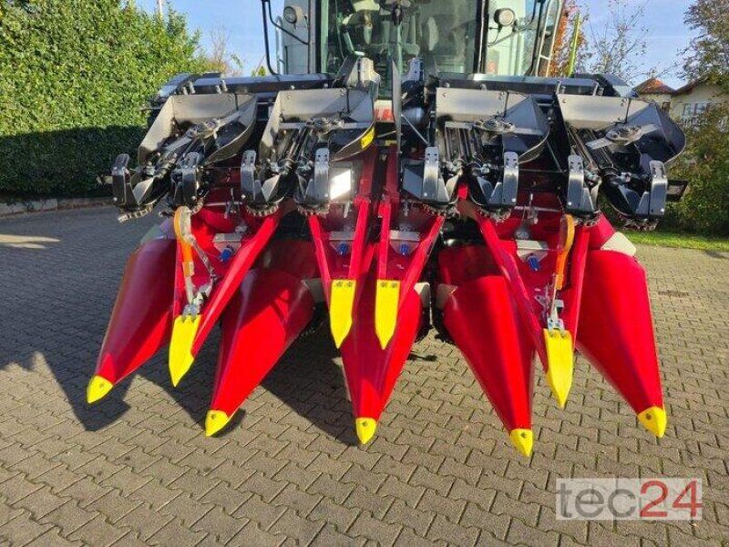 Geringhoff Mais Star Horizon ( MSH ) 800 FB