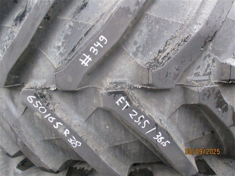 Fendt 650/65R38 157D  TB-70  8  #349