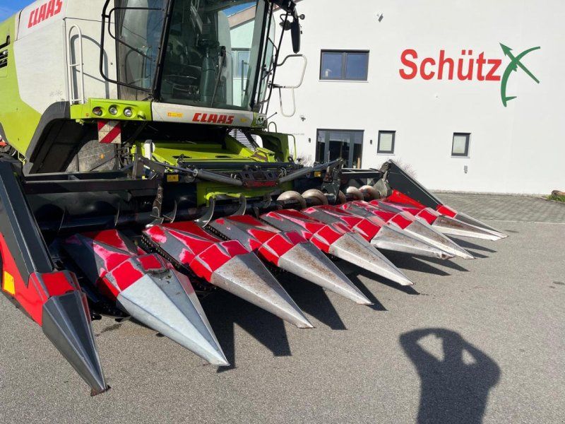 Dominoni Maispflücker SL968 8-reihig passend Claas Lexion