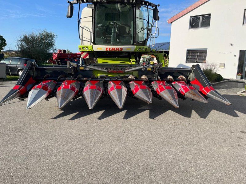 Dominoni Maispflücker SL968 8-reihig passend Claas Lexion