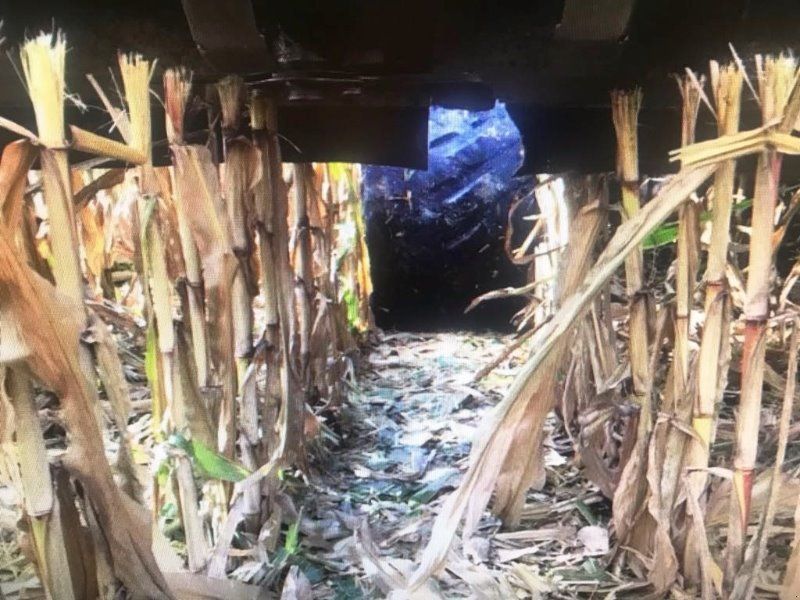 Claas Lion TT Umbausatz Mais Fahrwerk