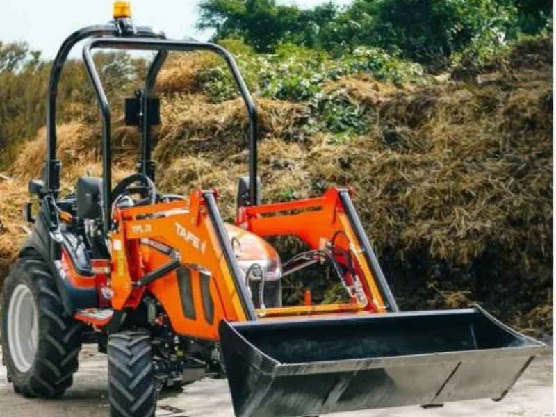 Tafe Der 6028M mit Frontlader TFL-28