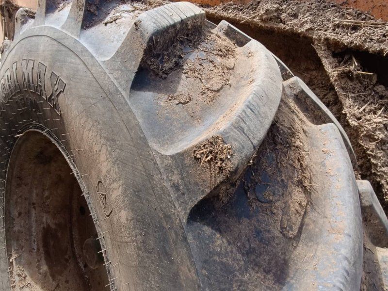 Dangreville EPANDEUR