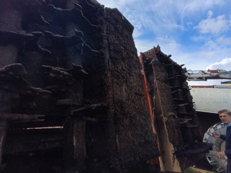 Dangreville EPANDEUR