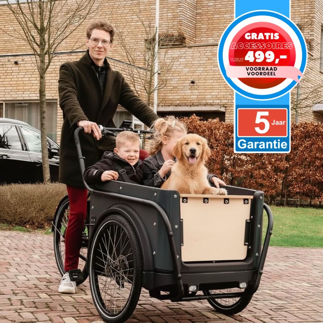 ROYAL CARGO BIKE elektrische bakfiets tweewieler + 5j garantie