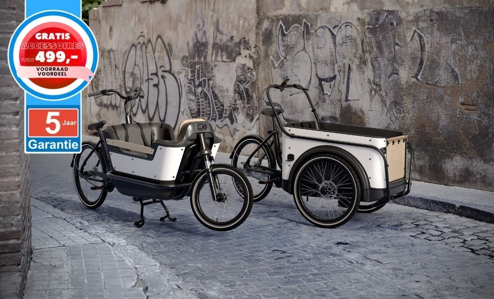 ROYAL CARGO BIKE elektrische bakfiets tweewieler + 5j garantie