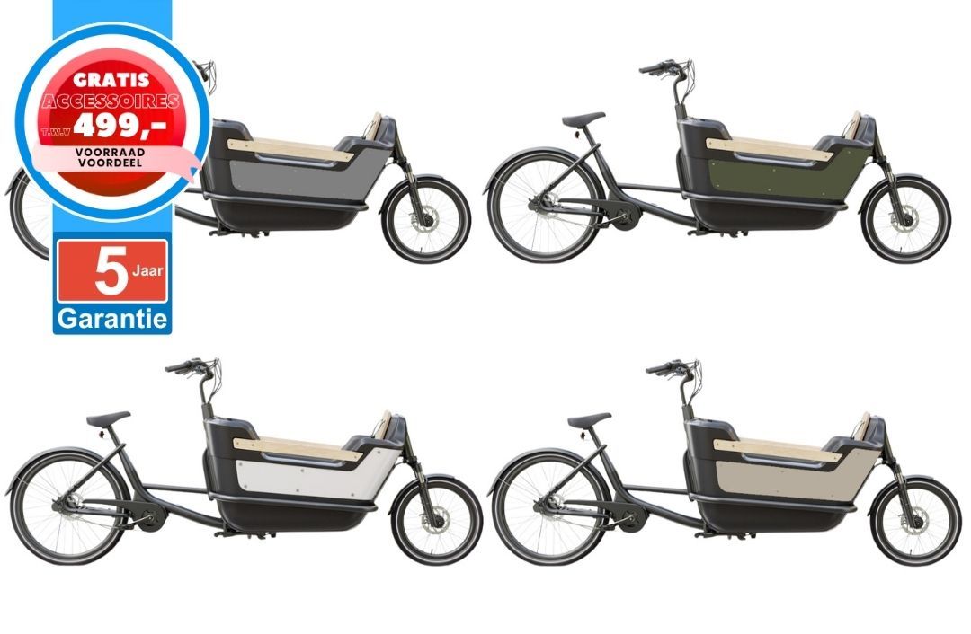 ROYAL CARGO BIKE elektrische bakfiets tweewieler + 5j garantie