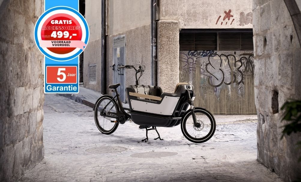 Luxe Royal Cargo Bike elektrische bakfiets bakfietsen made in NL