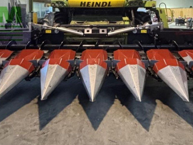 Dominoni maispflücker 8 reihig