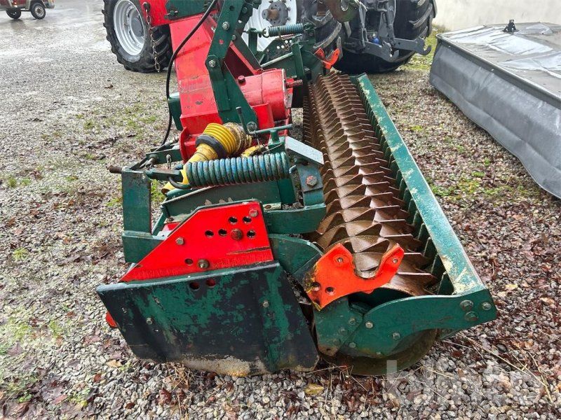 Feuer-Vogel Terramat