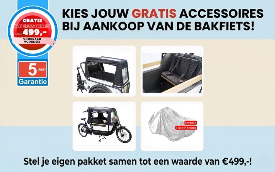 Royal Cargo Bike elektrische bakfiets Nederlandse bakfietsen