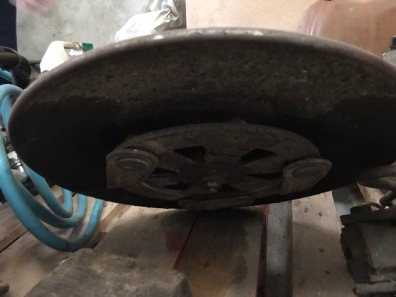 Concept Perugini Tondeuses Alizée