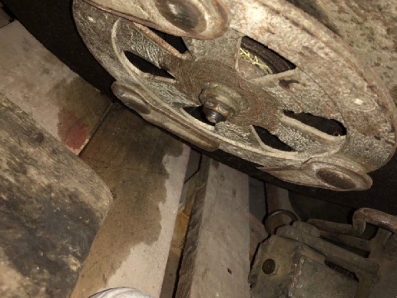 Concept Perugini Tondeuses Alizée