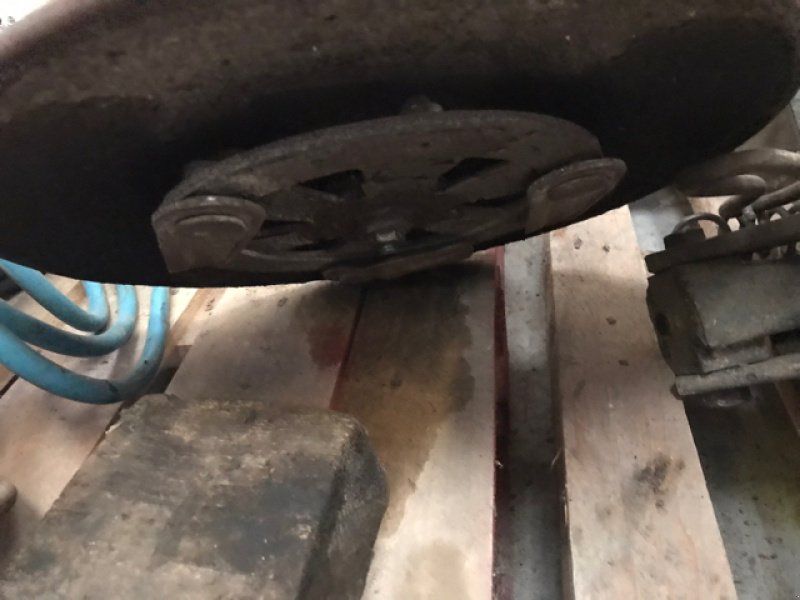 Concept Perugini Tondeuses Alizée