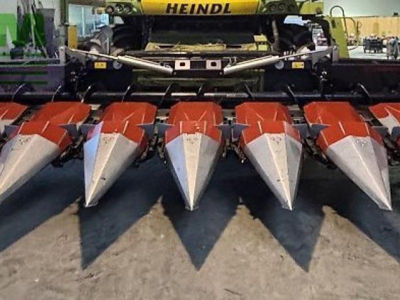 Dominoni maispflücker 8 reihig