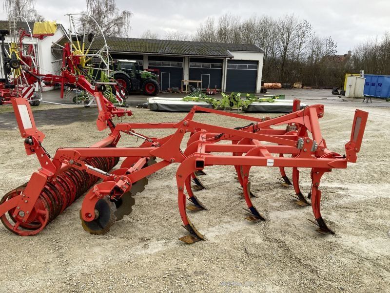 Maschio TERREMOTO 300