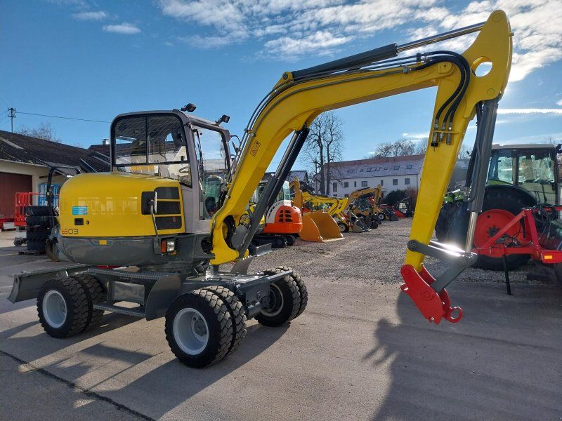 Wacker Neuson 6503