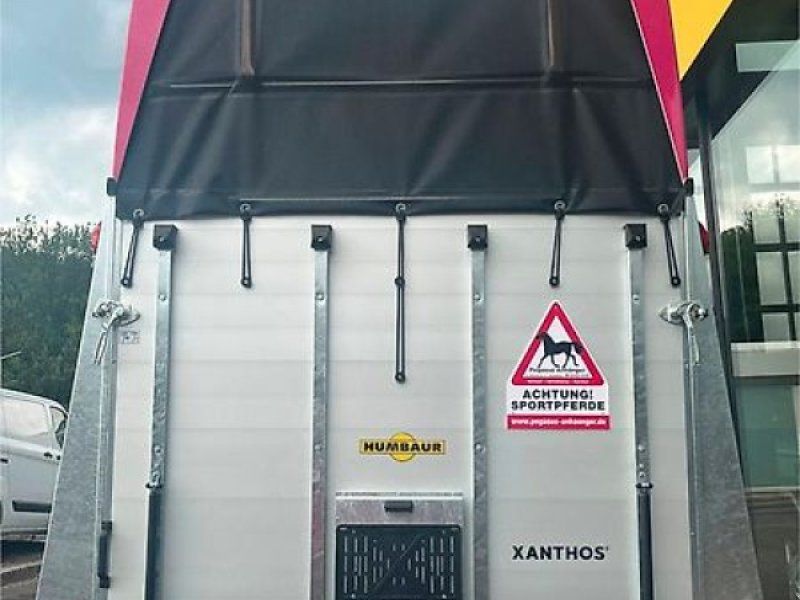 Humbaur Xanthos 2-Pferde 2,4t. DS Alu 
