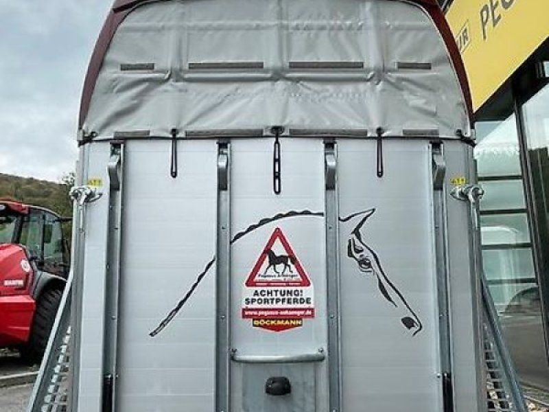 Böckmann Champion R 2-Pferde ALU SK 2,4t 2024