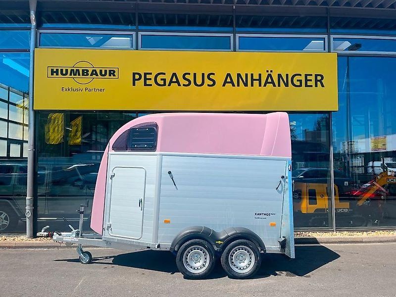 Humbaur Xanthos Aero ROSE 2,4t Pferde gebr. Böckmann a.L