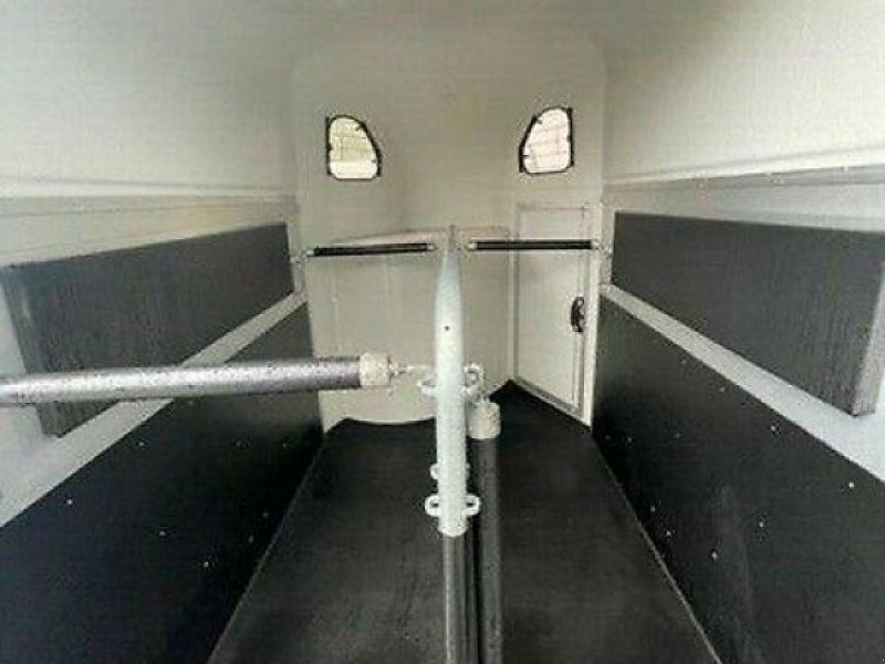 Pferde bereitung Reinigung Desinfektion