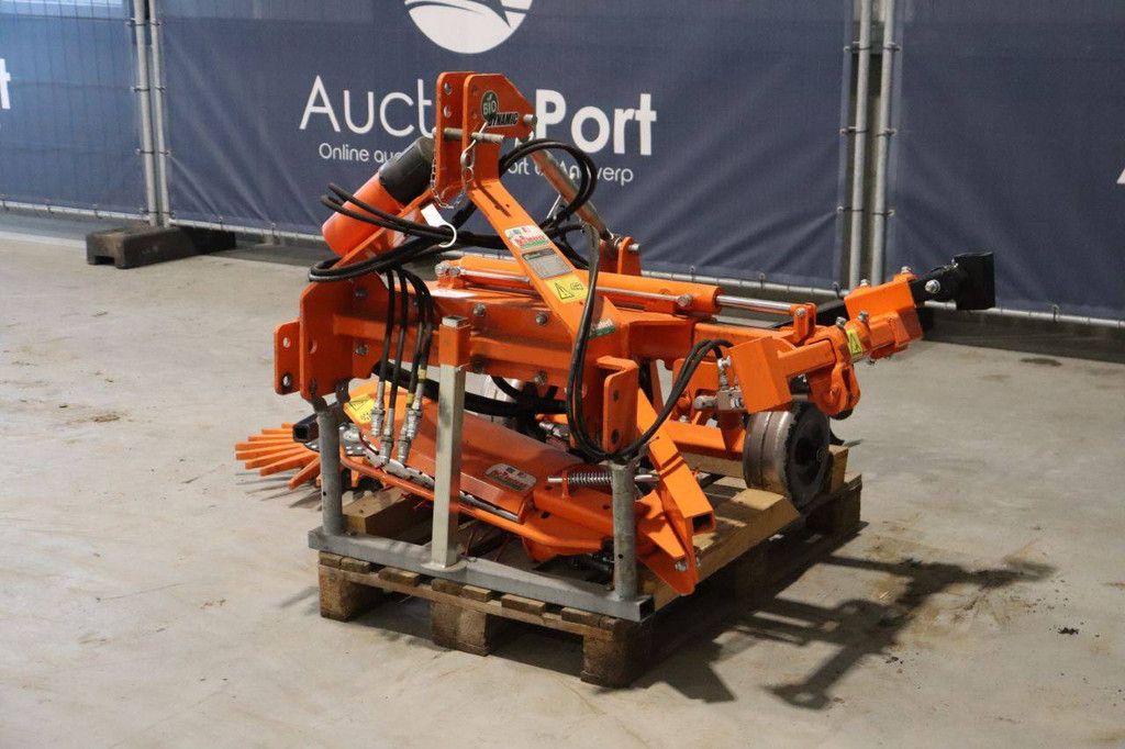 Unkrautbekämpfungsmaschine Rinieri BIO-DYN N 2020