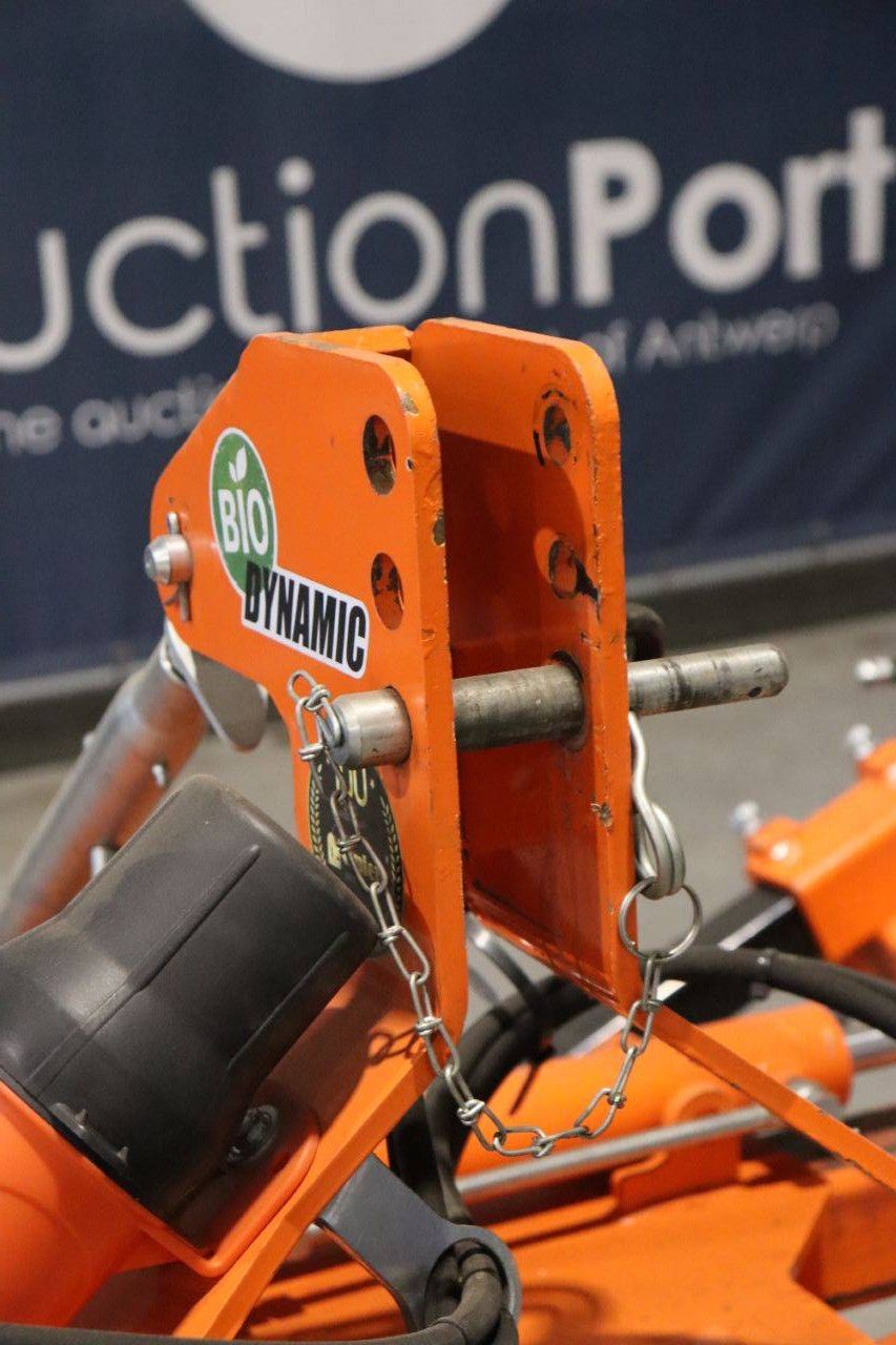 Unkrautbekämpfungsmaschine Rinieri BIO-DYN N 2020