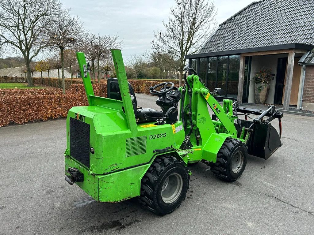 Giant D 262 S