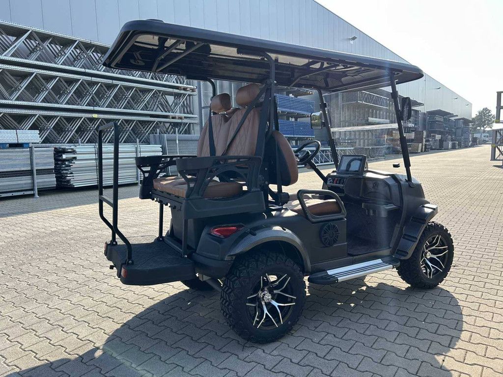 Golf cart RTE Electric 2025 New