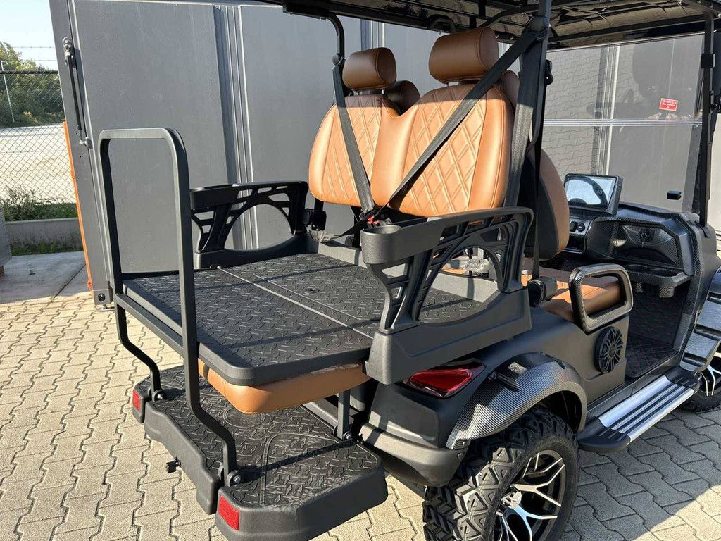 Golf cart RTE Electric 2025 New
