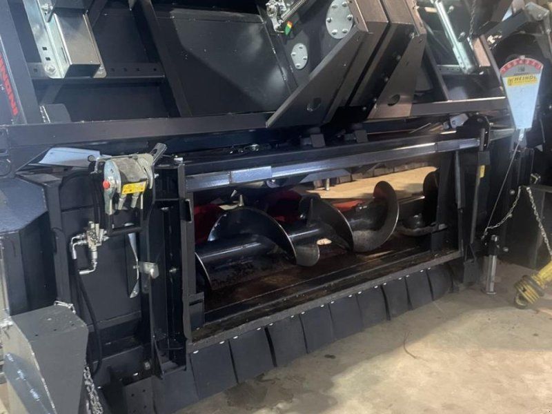 Dominoni maispflücker 8 reiher