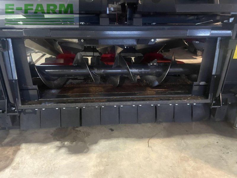 Dominoni maispflücker 8 reiher