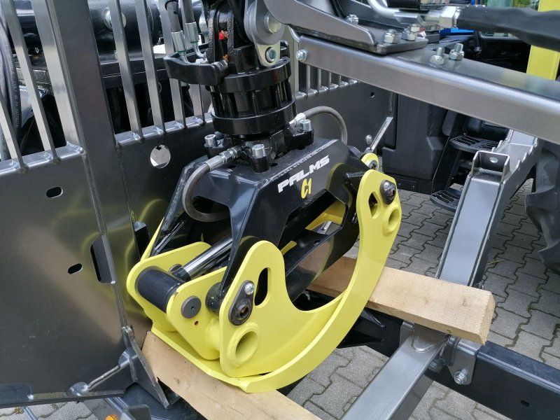 Palms 10,20D, FK 4.71